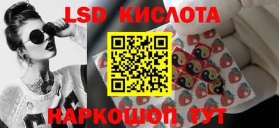 индика Новозыбков