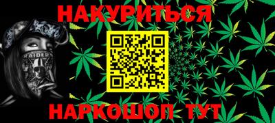 индика Новозыбков