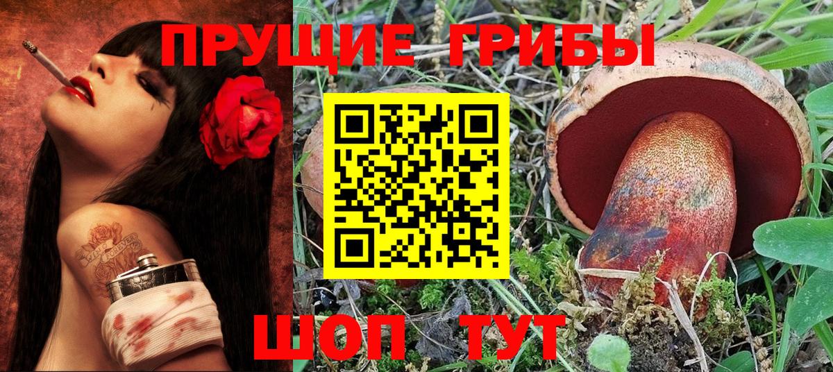 Псилоцибиновые грибы GOLDEN TEACHER Сыктывкар
