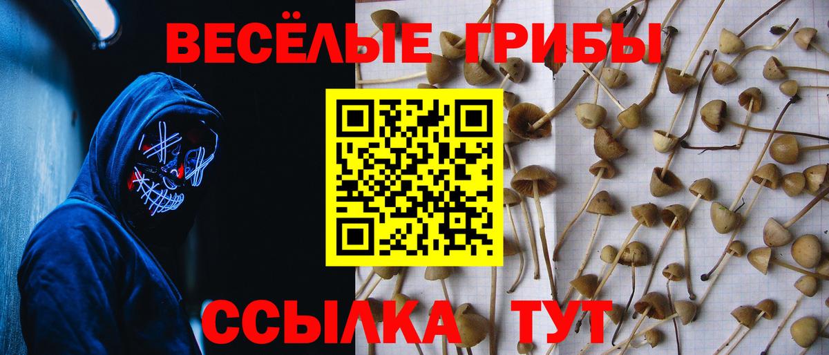 Сыктывкар  Псилоцибиновые грибы ЛСД  Вход с VPN 